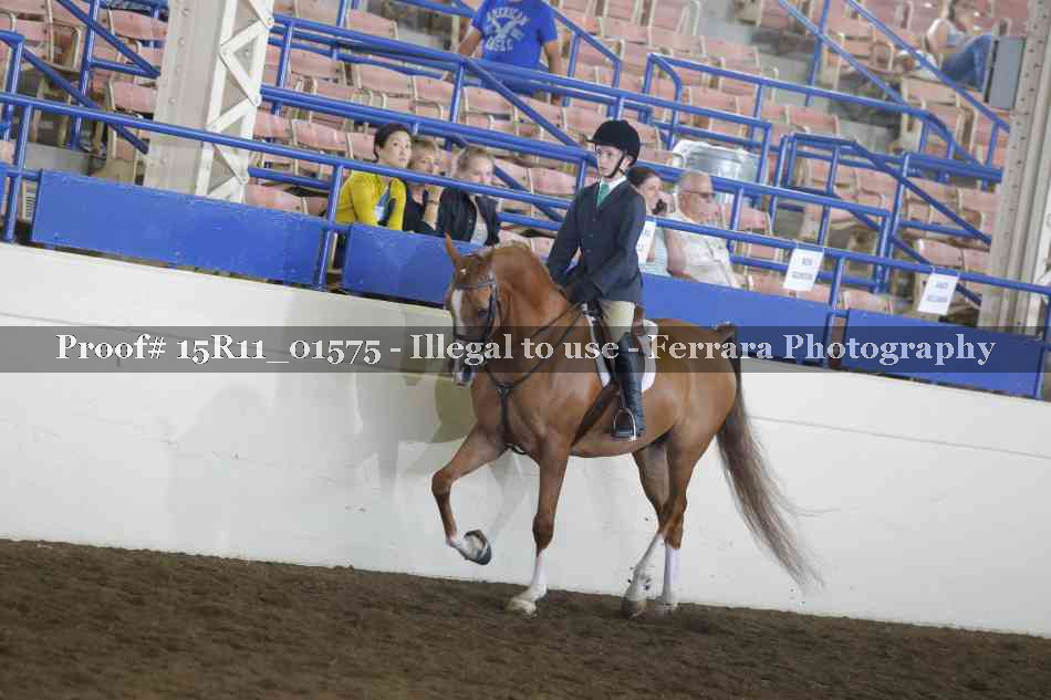 Proof 15R11_01575