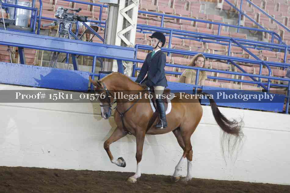 Proof 15R11_01576