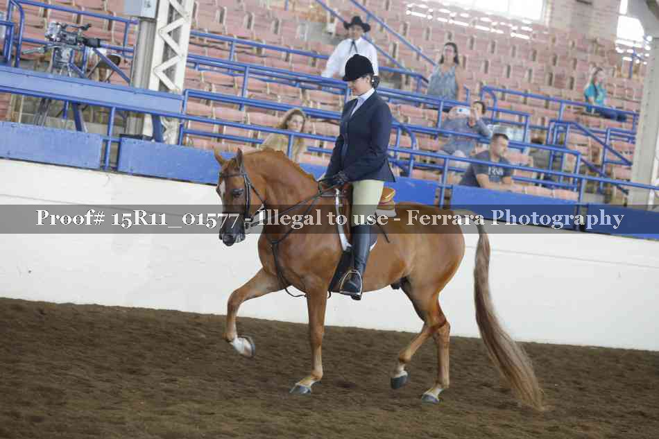 Proof 15R11_01577