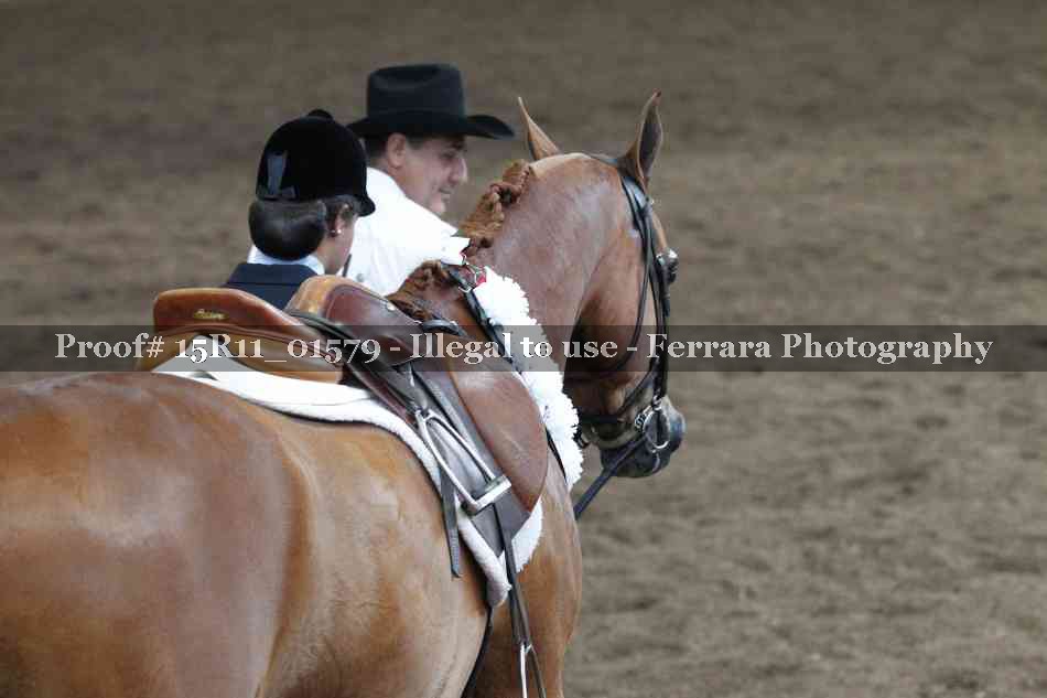 Proof 15R11_01579