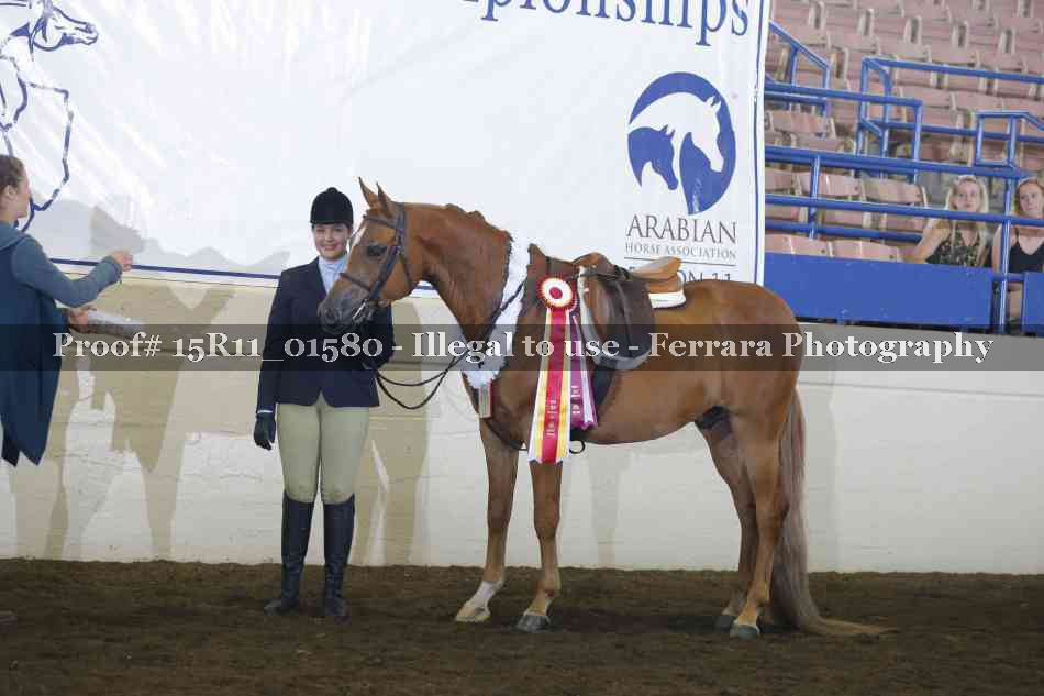 Proof 15R11_01580