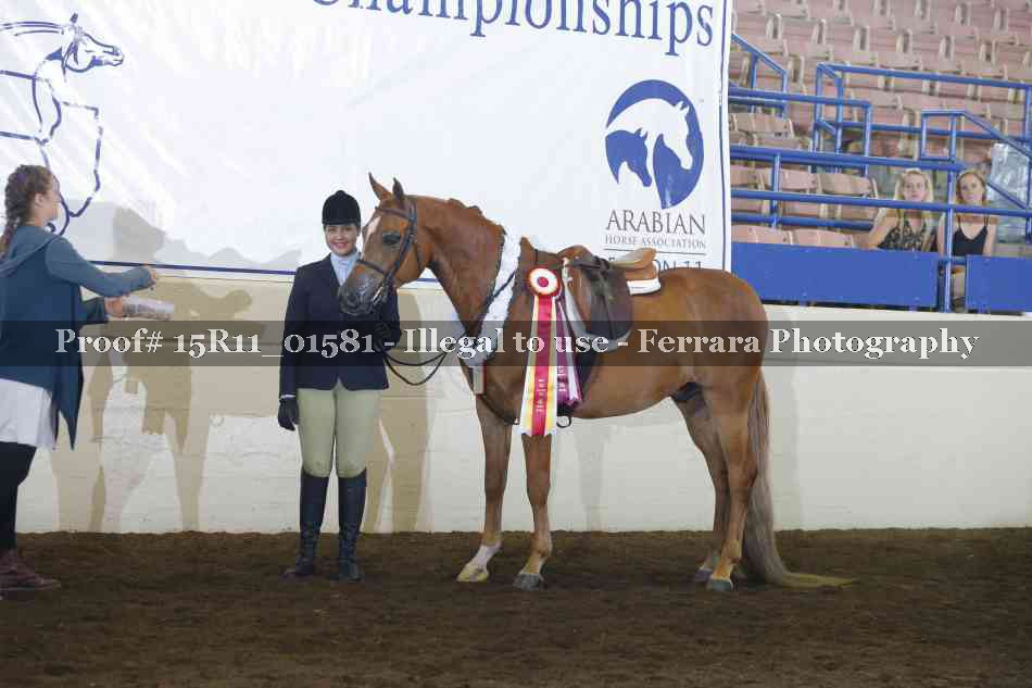 Proof 15R11_01581