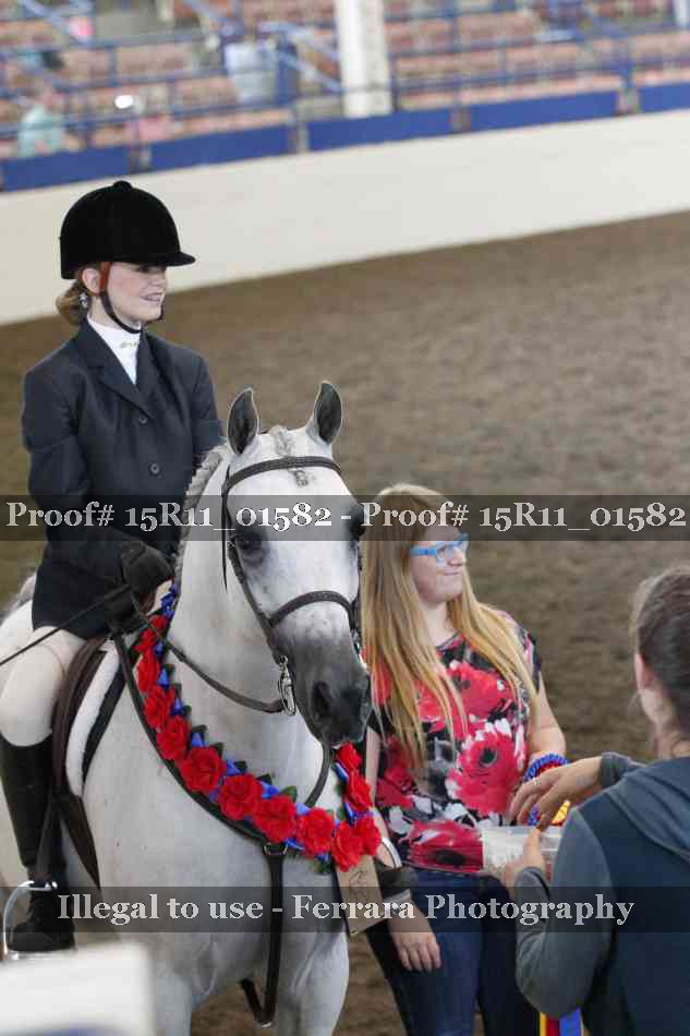 Proof 15R11_01582