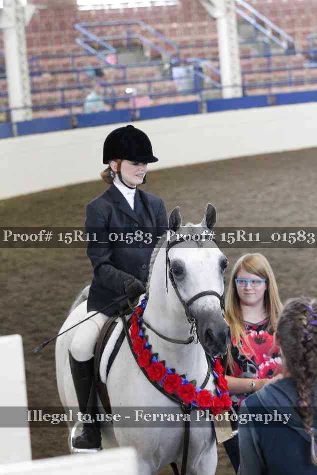 Proof 15R11_01583