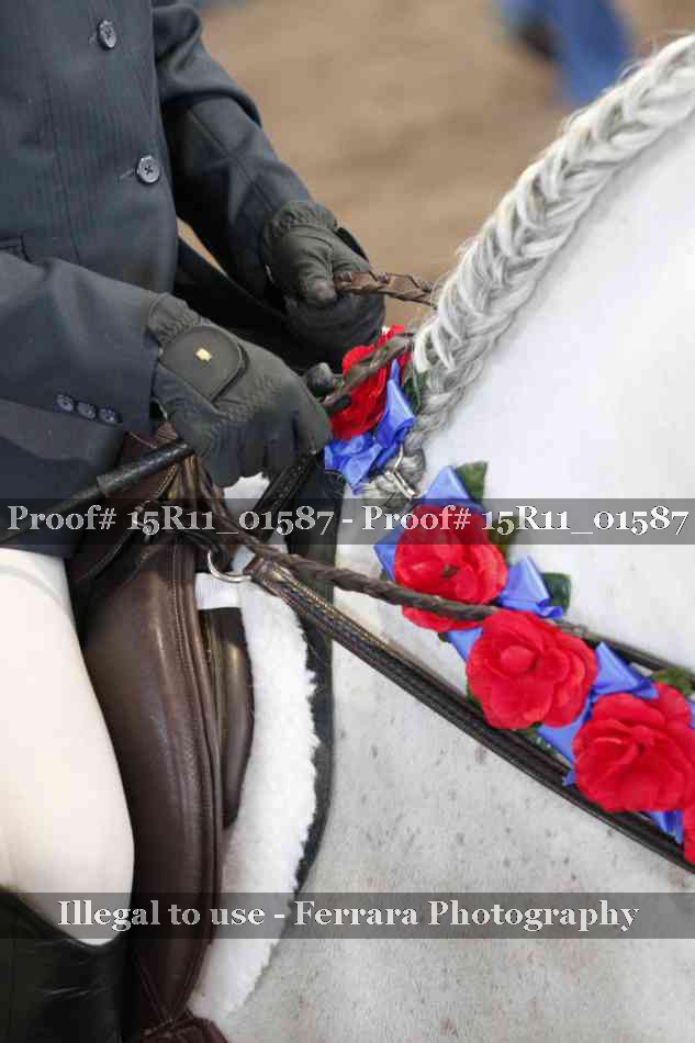 Proof 15R11_01587