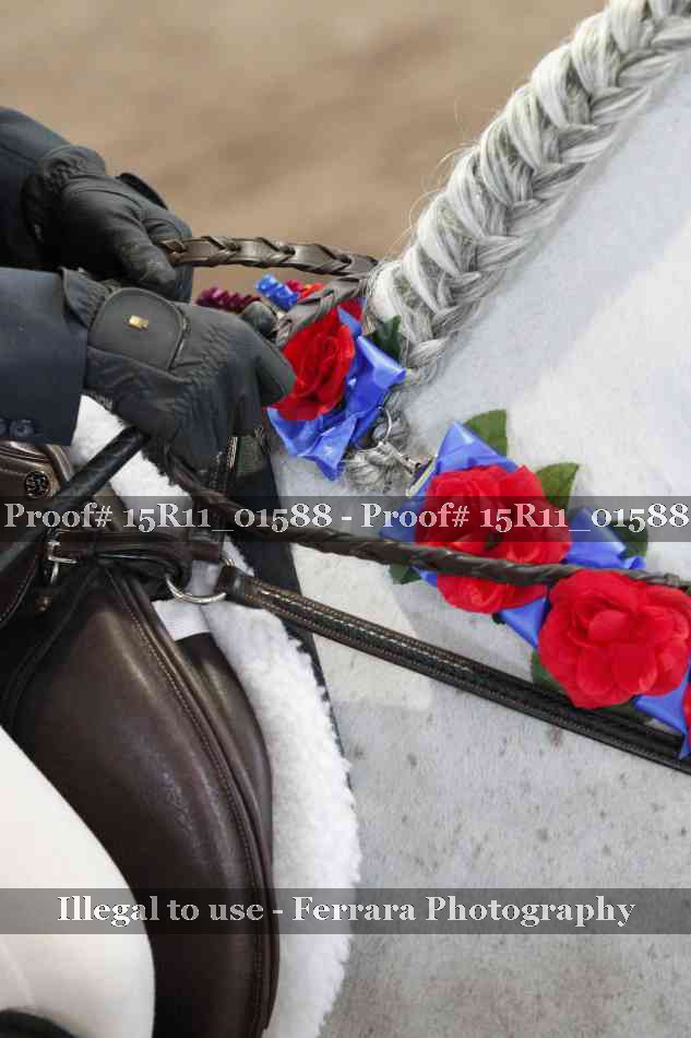Proof 15R11_01588