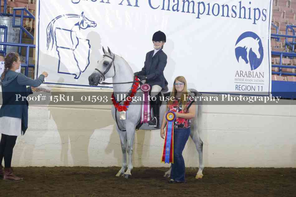 Proof 15R11_01593