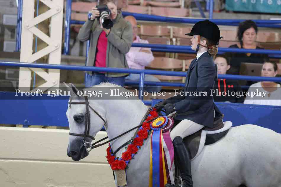 Proof 15R11_01595