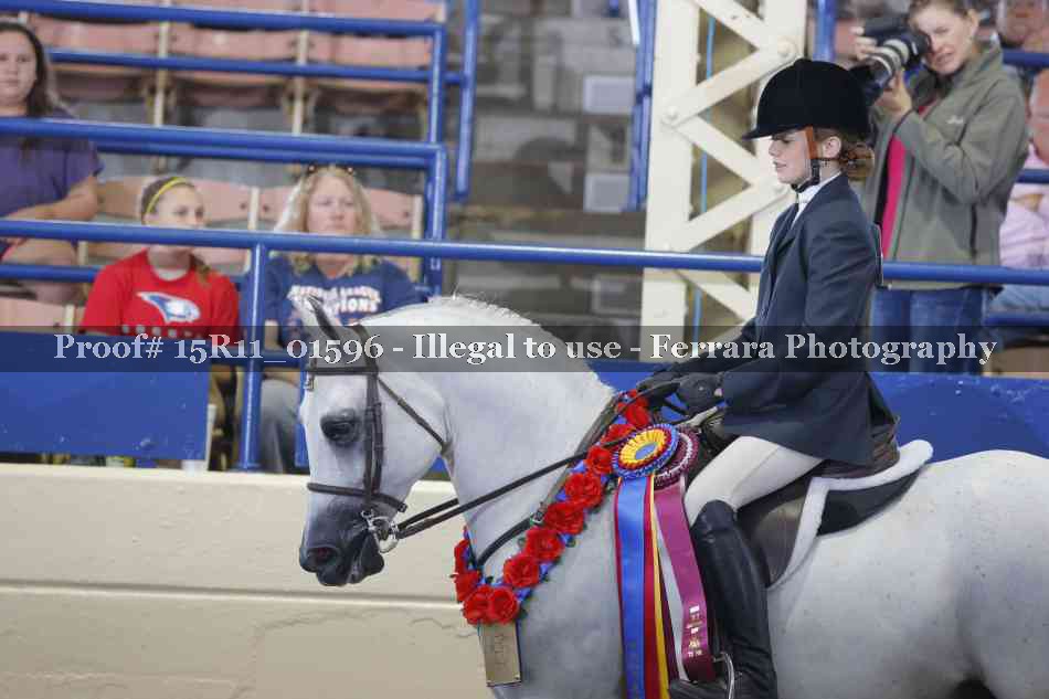 Proof 15R11_01596
