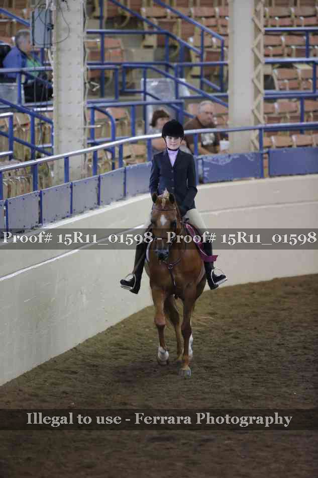 Proof 15R11_01598
