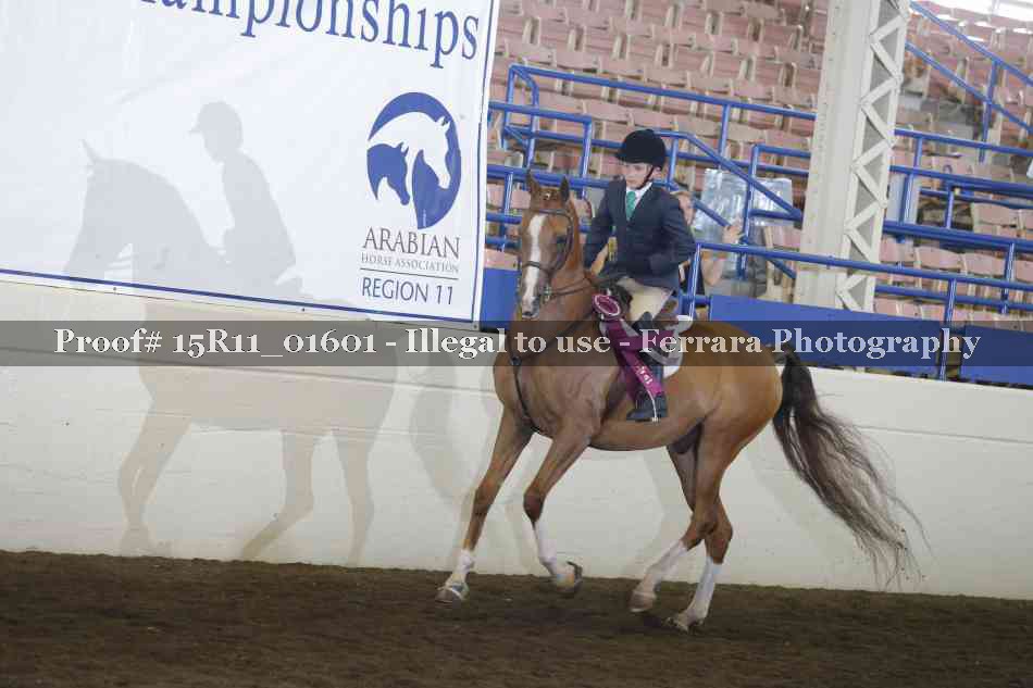Proof 15R11_01601