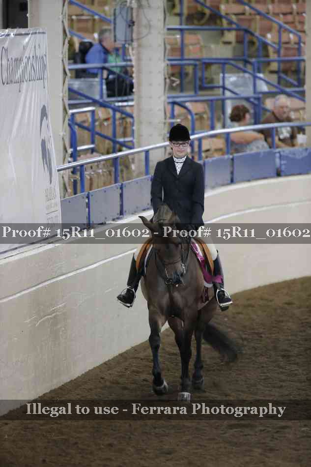 Proof 15R11_01602