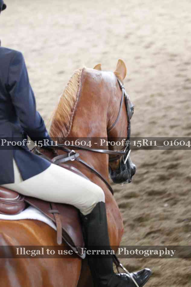 Proof 15R11_01604