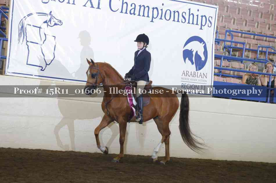 Proof 15R11_01606
