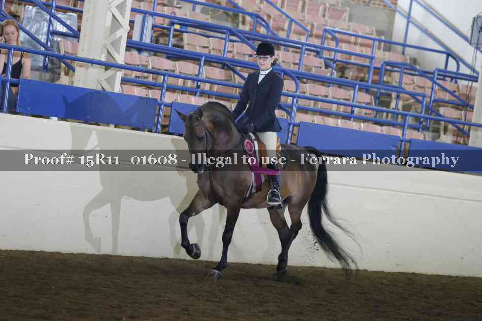 Proof 15R11_01608