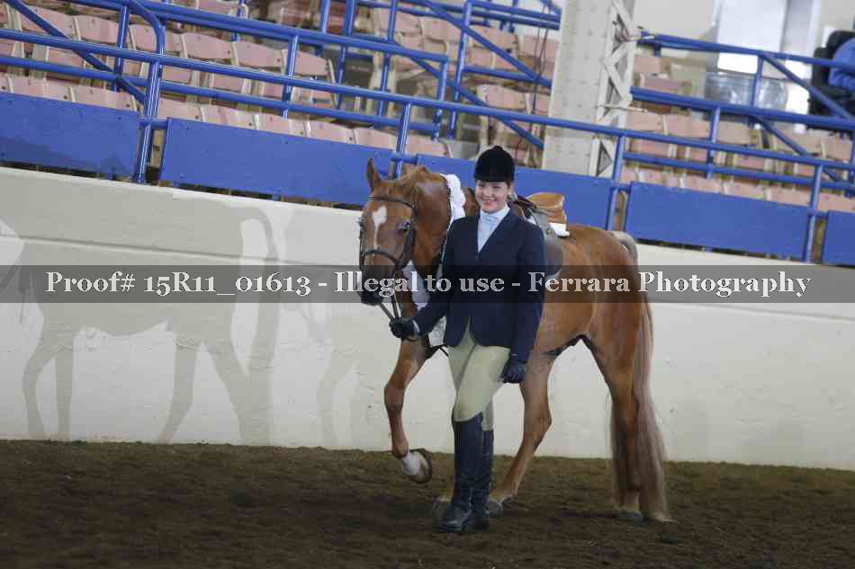 Proof 15R11_01613