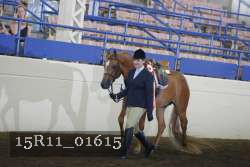 15R11_01615 proof