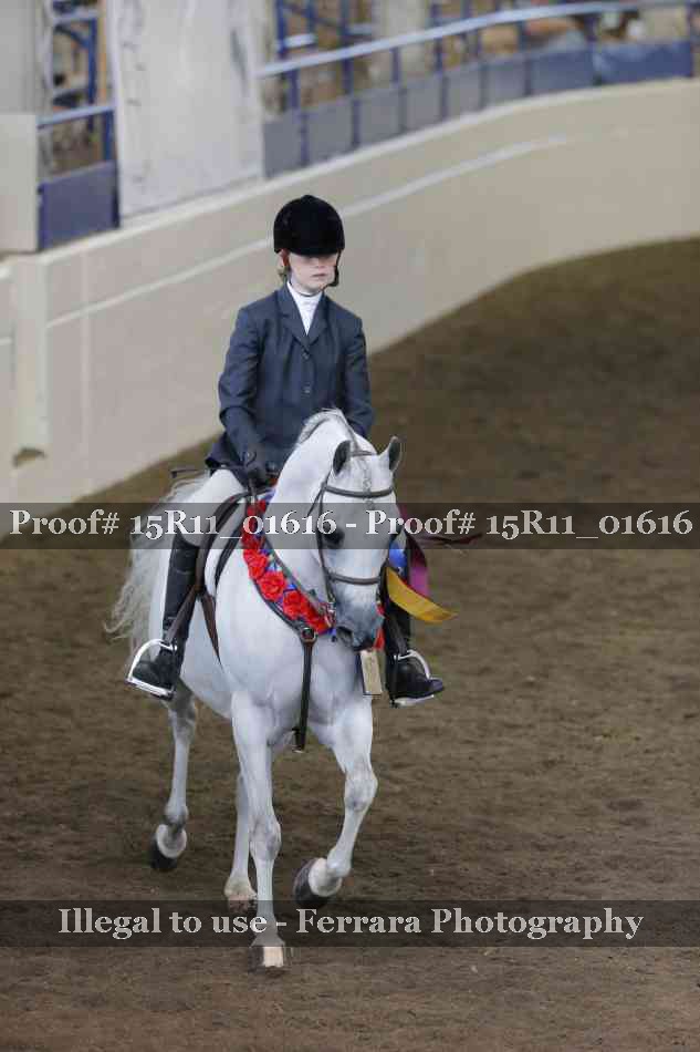 Proof 15R11_01616