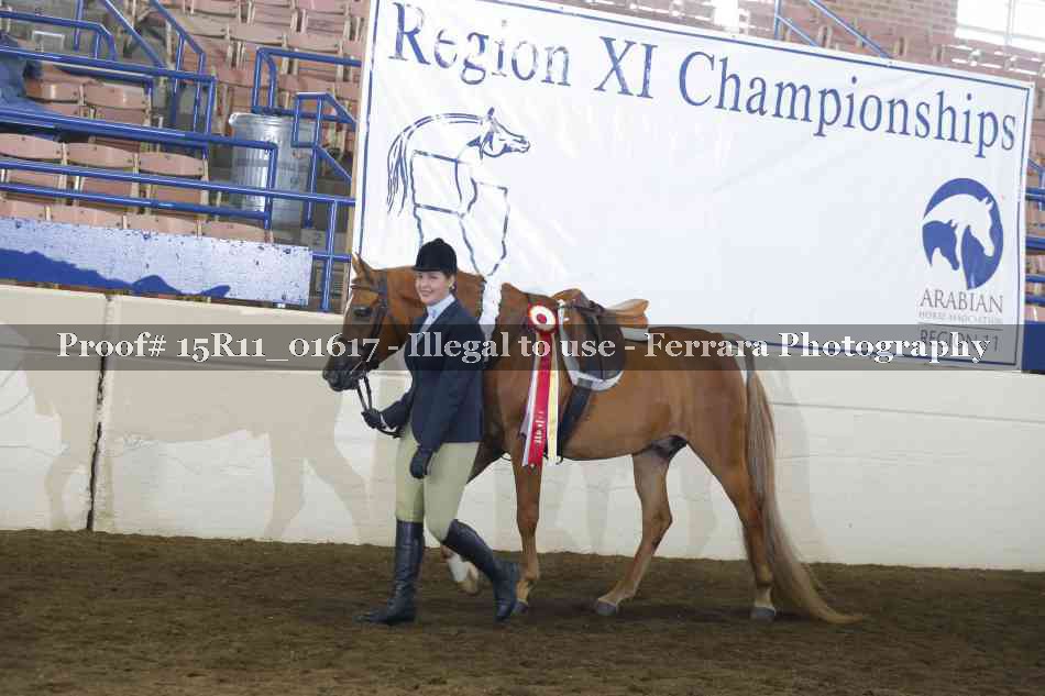 Proof 15R11_01617