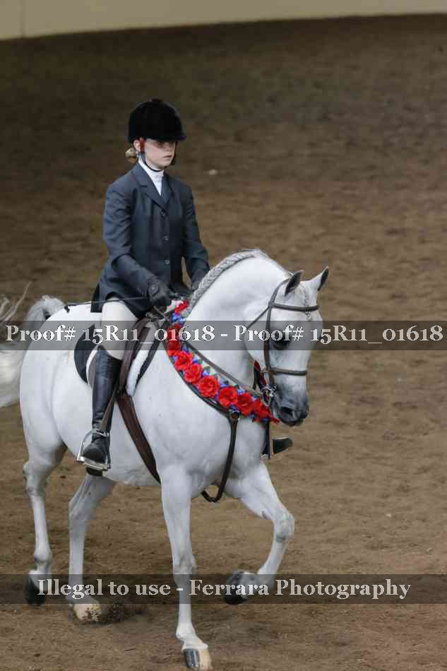 Proof 15R11_01618