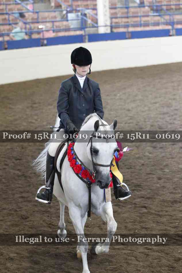 Proof 15R11_01619
