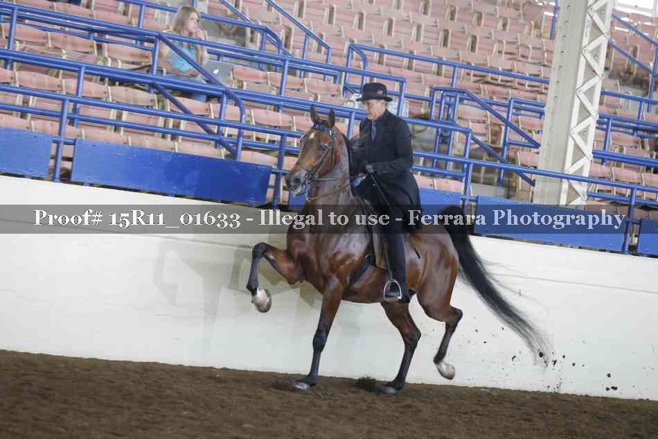 Proof 15R11_01633