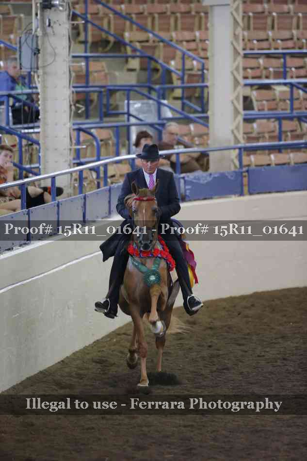Proof 15R11_01641