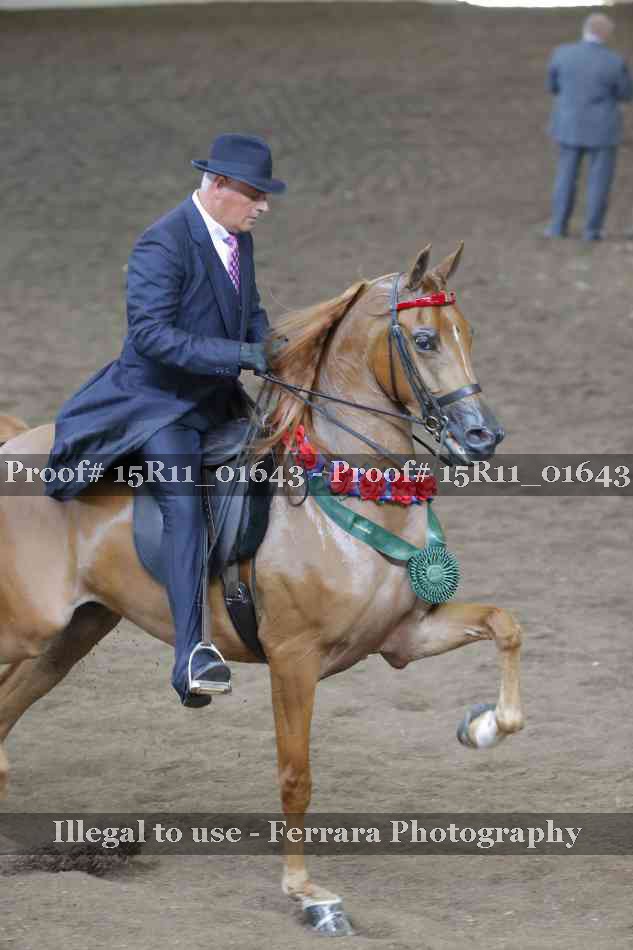 Proof 15R11_01643