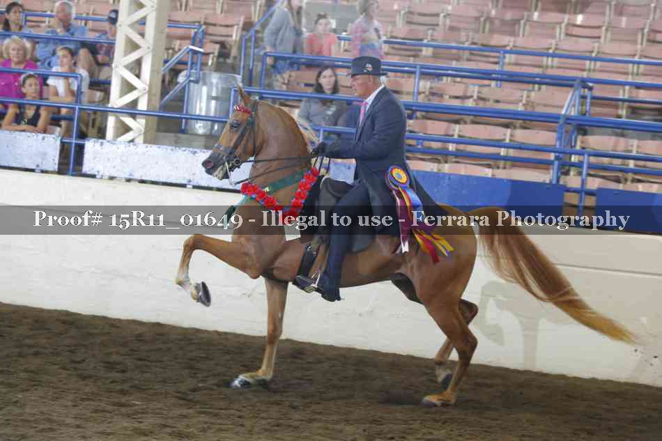 Proof 15R11_01649