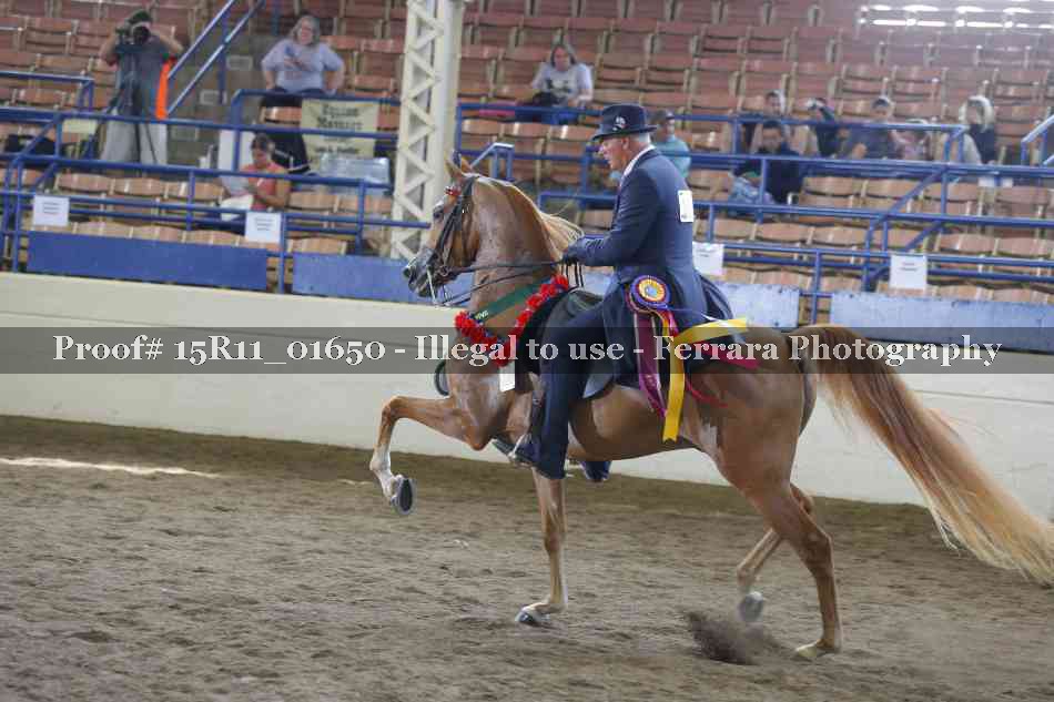 Proof 15R11_01650