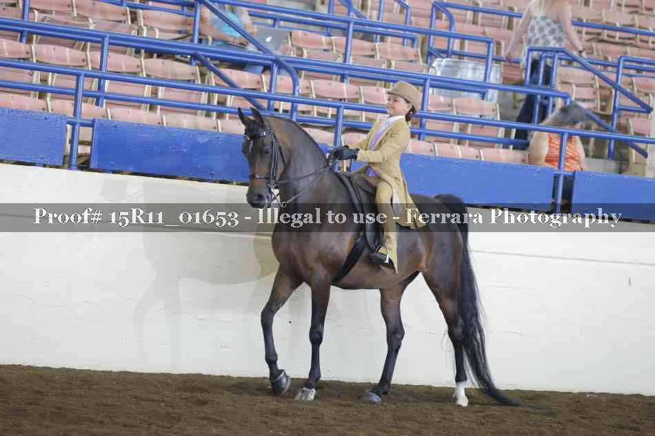 Proof 15R11_01653