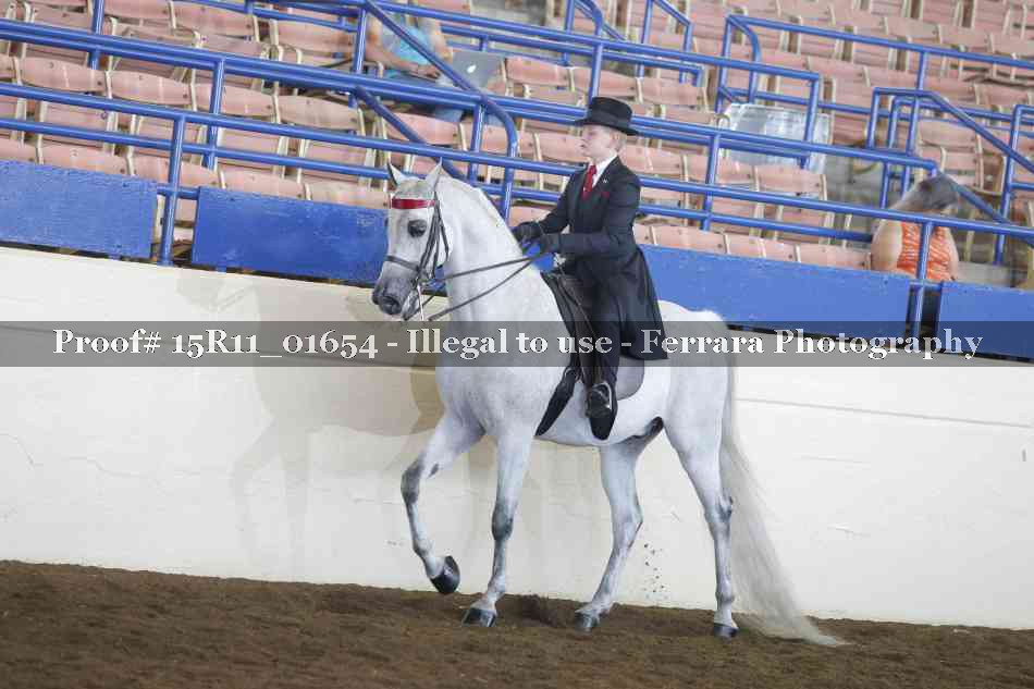 Proof 15R11_01654