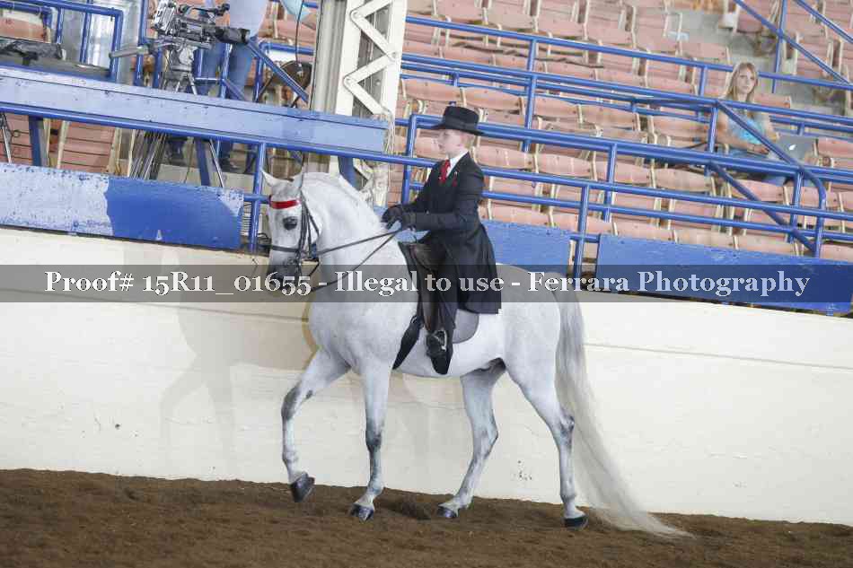 Proof 15R11_01655