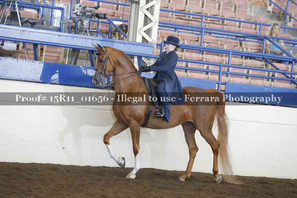 Proof 15R11_01656