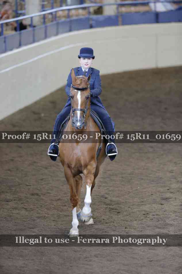 Proof 15R11_01659