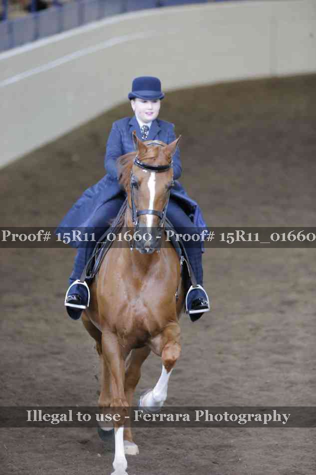 Proof 15R11_01660