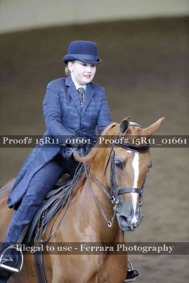 Proof 15R11_01661