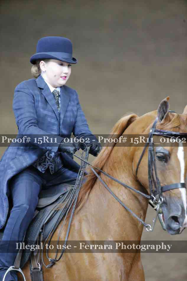 Proof 15R11_01662