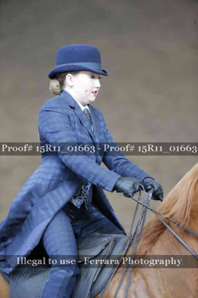 Proof 15R11_01663