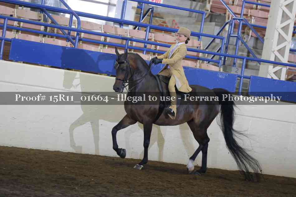 Proof 15R11_01664