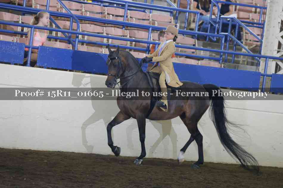 Proof 15R11_01665