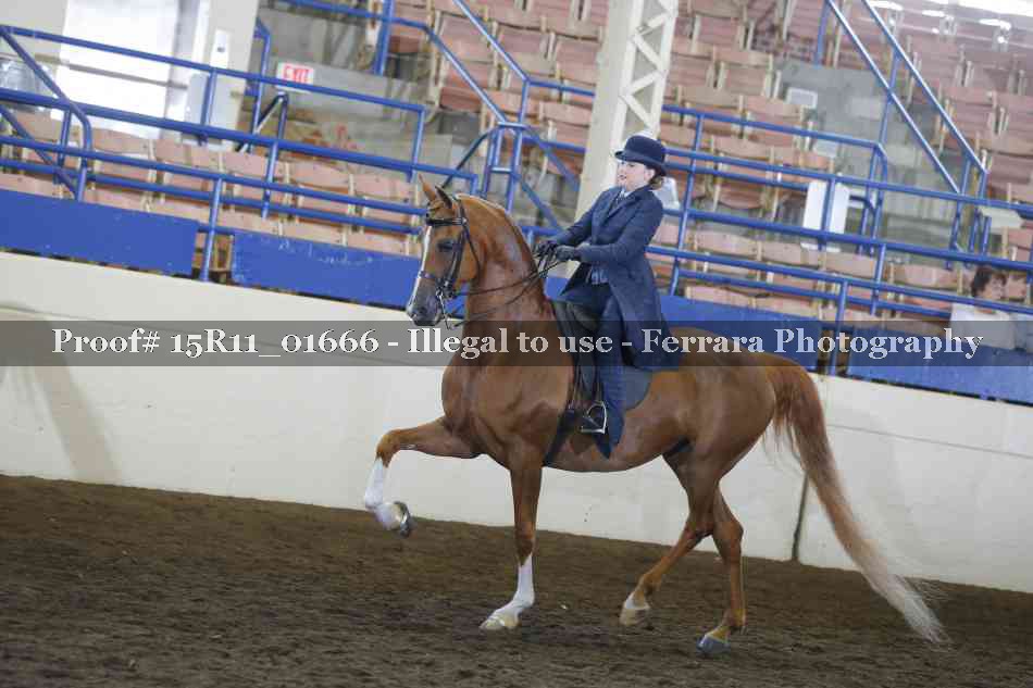 Proof 15R11_01666