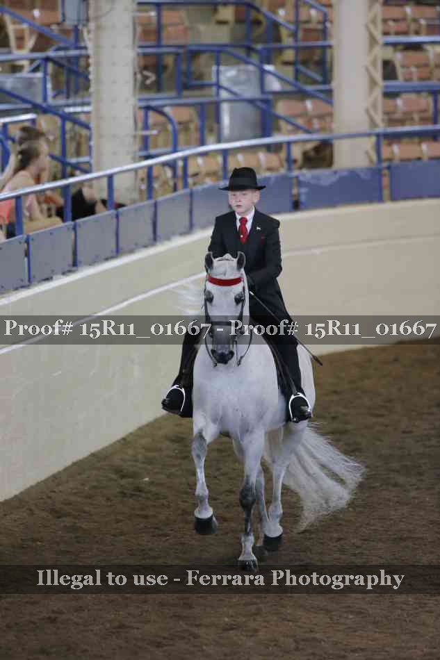 Proof 15R11_01667