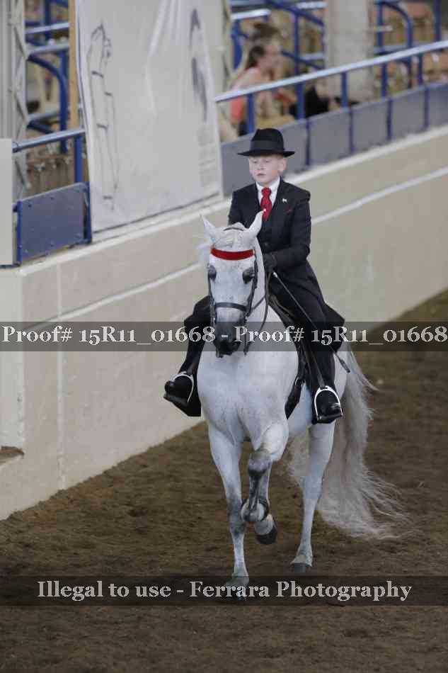 Proof 15R11_01668