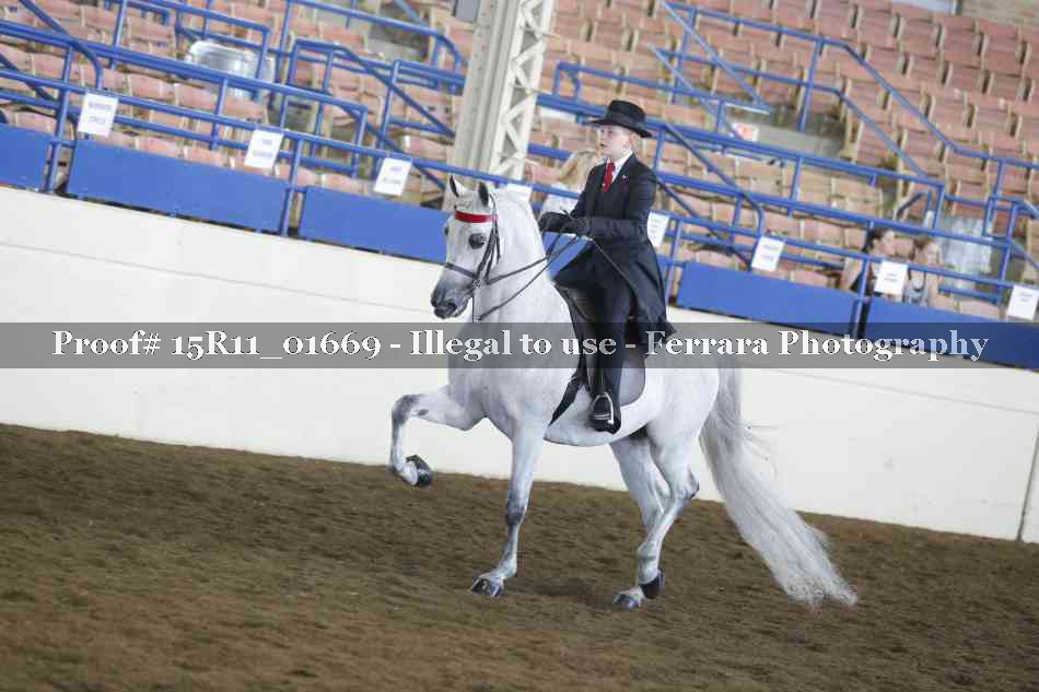 Proof 15R11_01669
