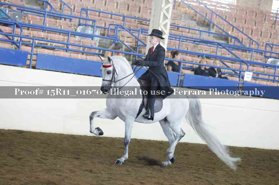 Proof 15R11_01670