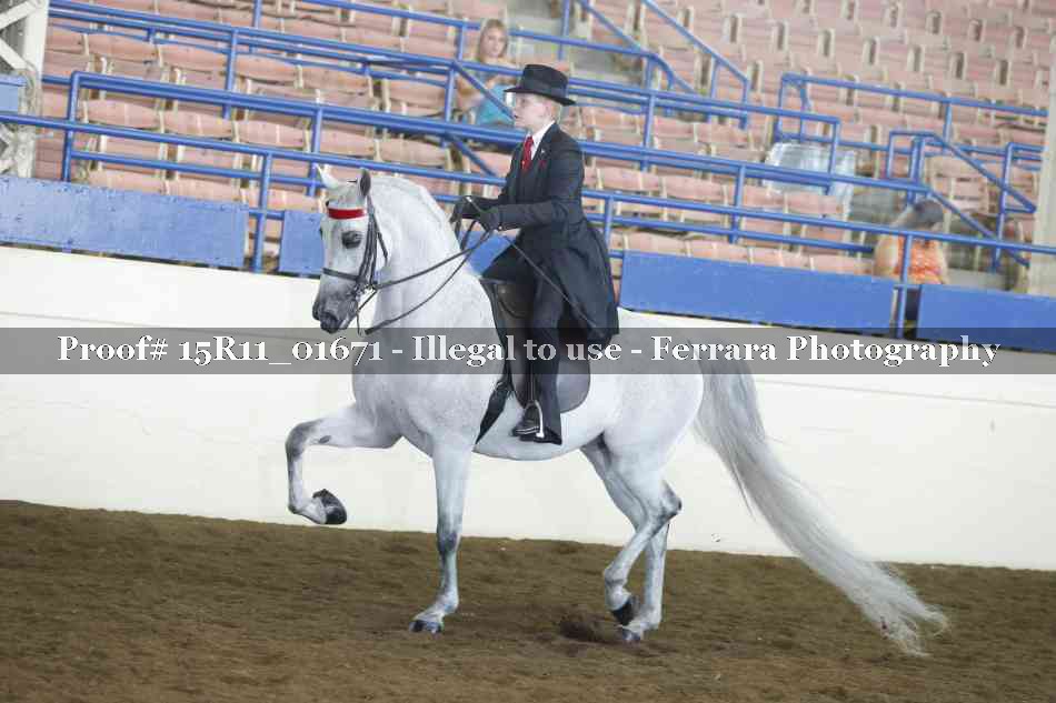 Proof 15R11_01671