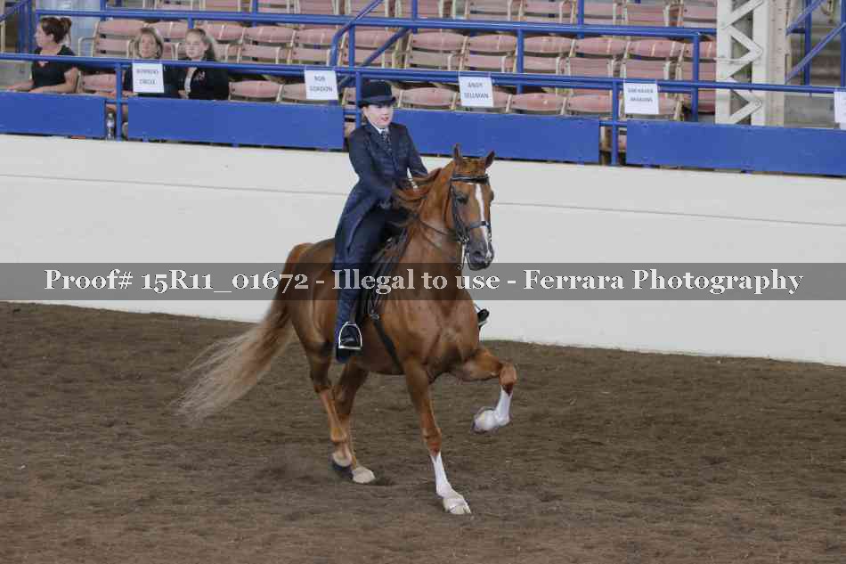 Proof 15R11_01672