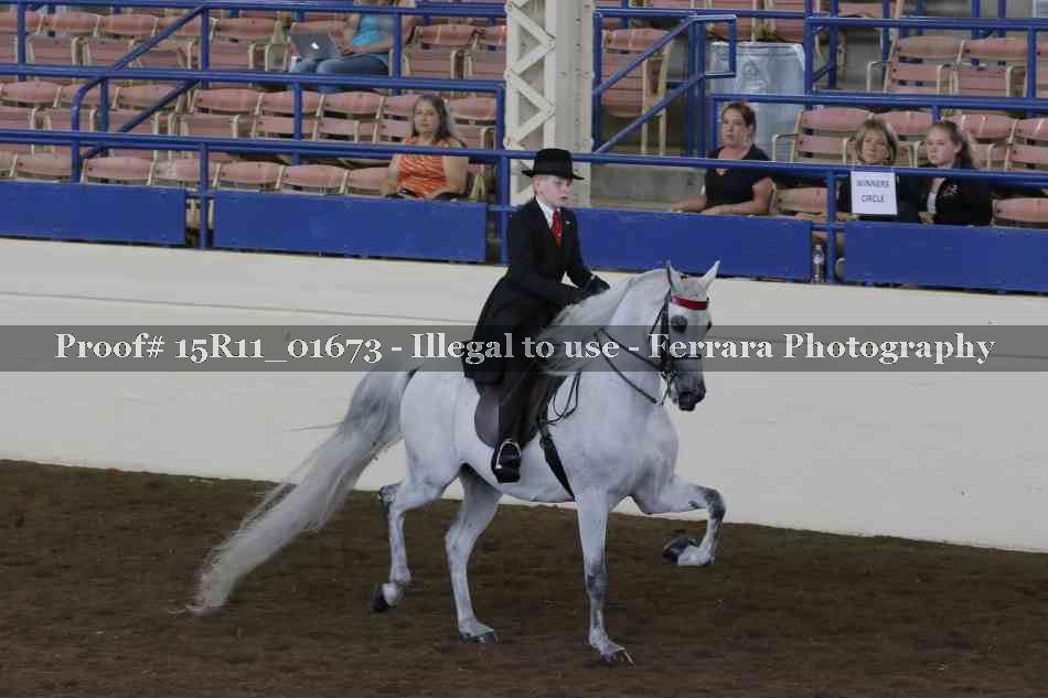Proof 15R11_01673