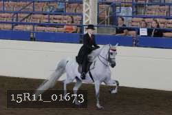 15R11_01673 proof